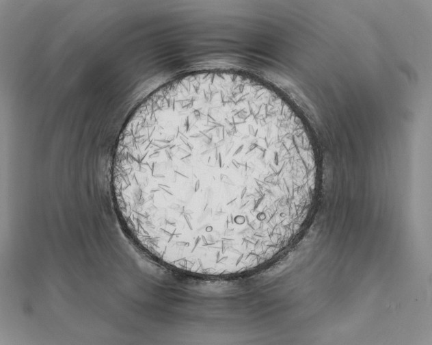 X0000111151233200907281125