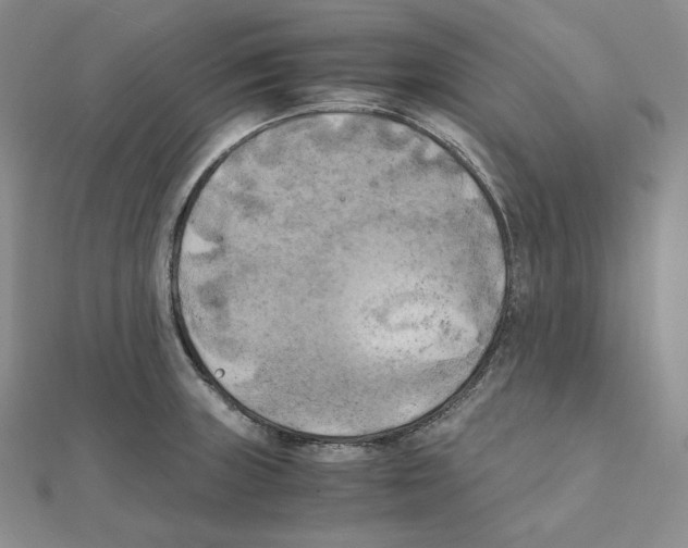 X0000111151235200907281126