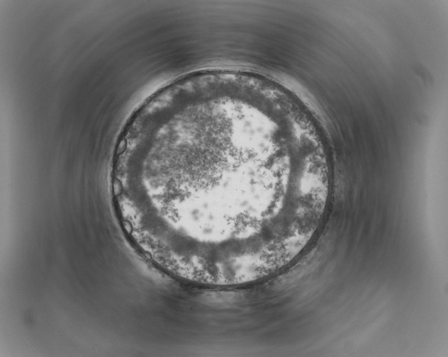 X0000111151237200907281126