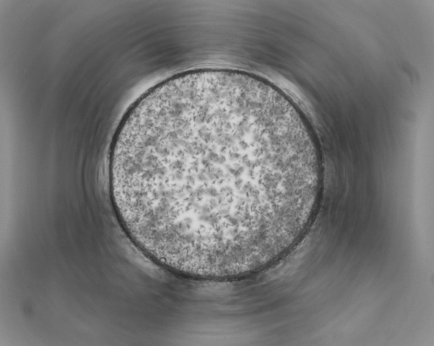 X0000111151238200907281126