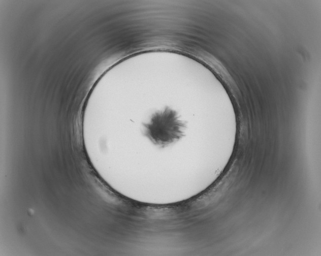 X0000111151242200907281126