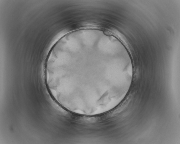 X0000111151243200907281126