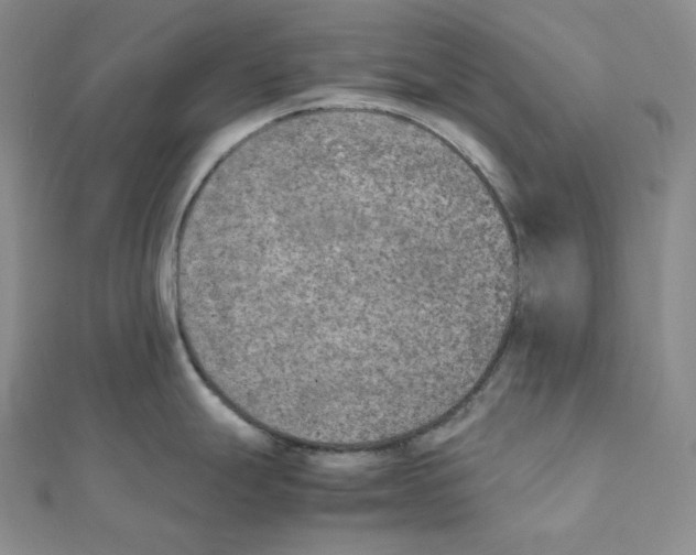 X0000111151247200907281126