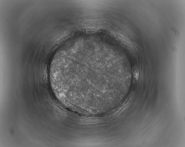 X0000111151252200907281125