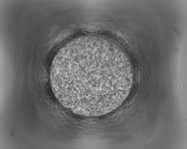 X0000111151253200907281125