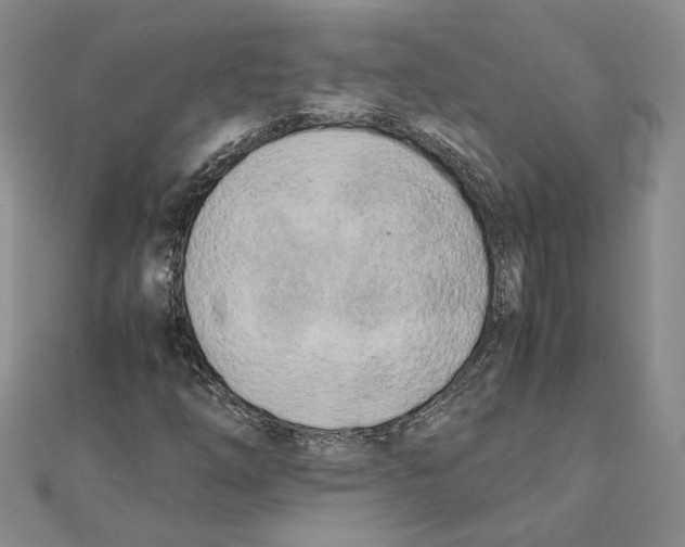 X0000111151254200907281125