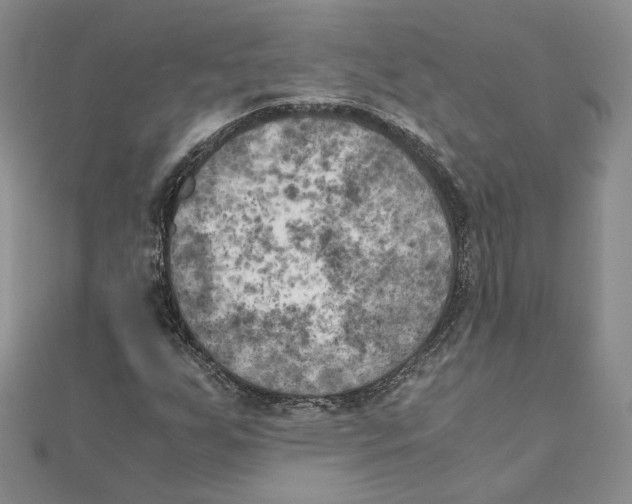 X0000111151255200907281125