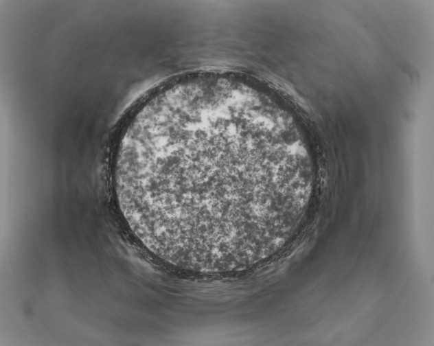 X0000111151256200907281125