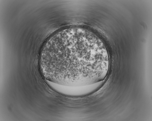 X0000111151257200907281125