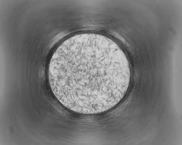 X0000111151259200907281125