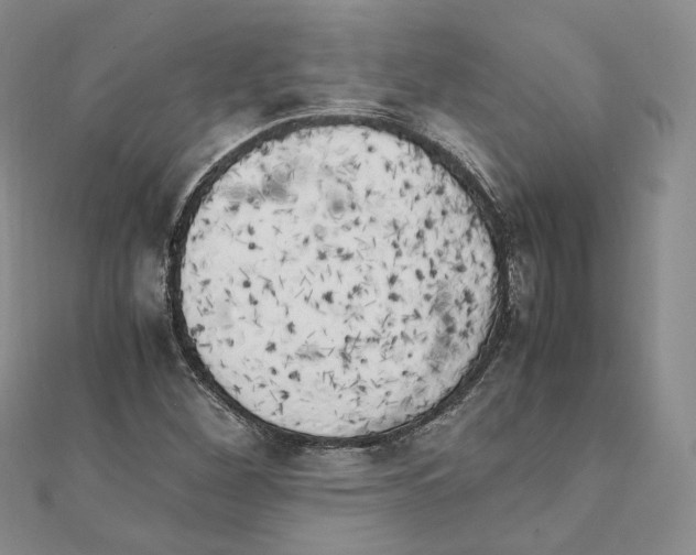 X0000111151260200907281125