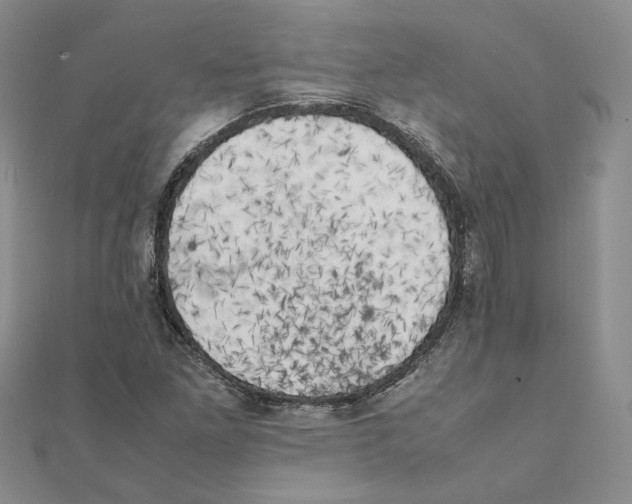 X0000111151261200907281125