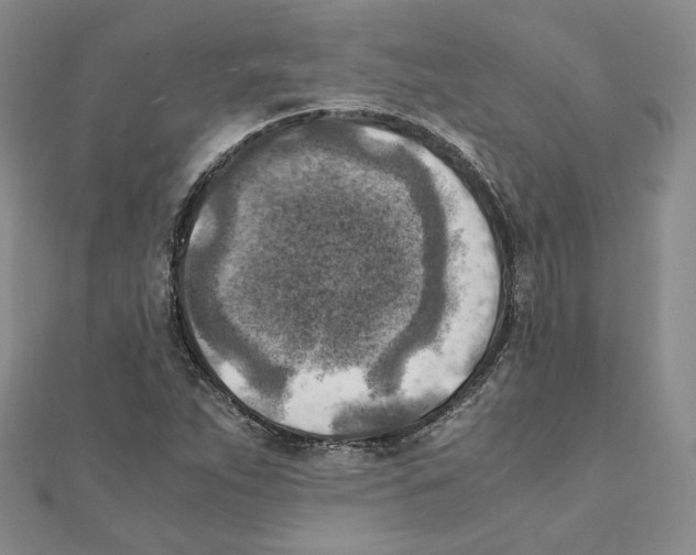 X0000111151263200907281125