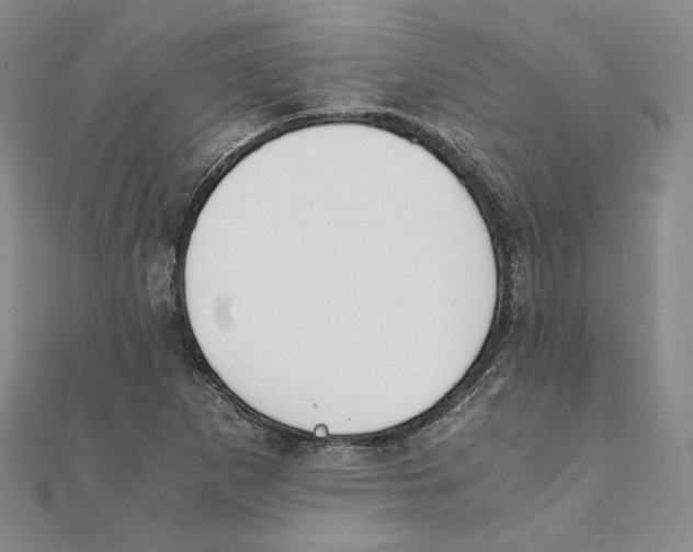 X0000111151265200907281125