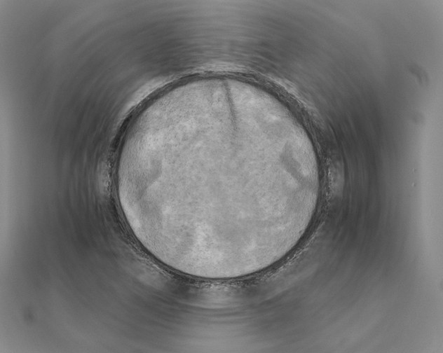 X0000111151266200907281125