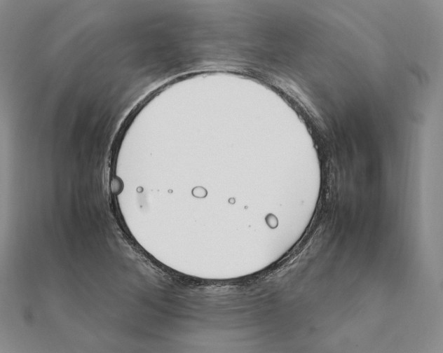 X0000111151268200907281125