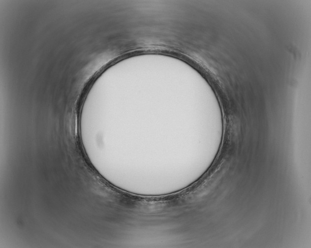 X0000111151269200907281125