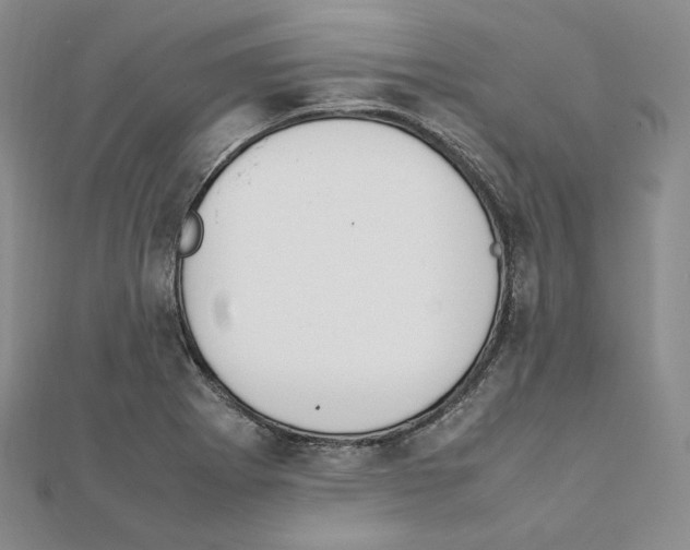 X0000111151273200907281125