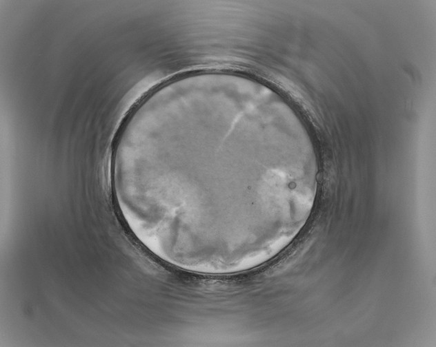 X0000111151275200907281125