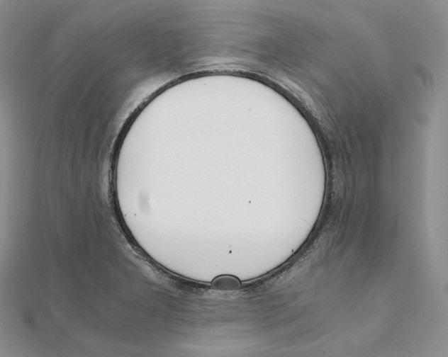 X0000111151277200907281125