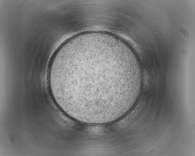 X0000111151278200907281125