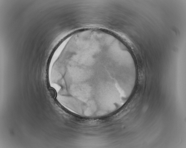 X0000111151279200907281125