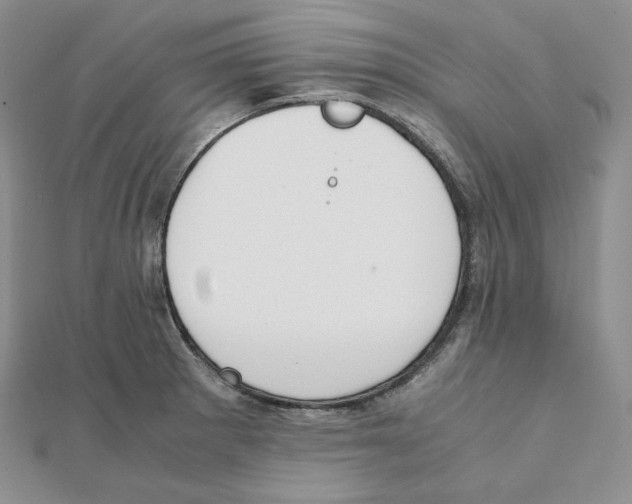 X0000111151281200907281125