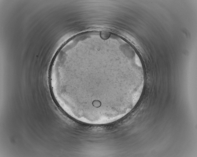 X0000111151283200907281125