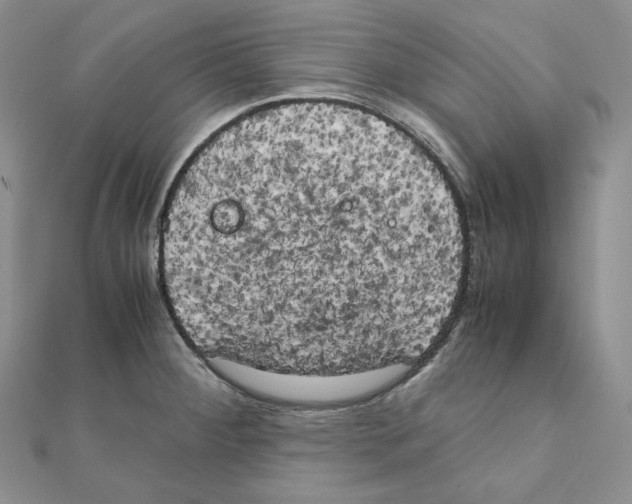 X0000111151284200907281125