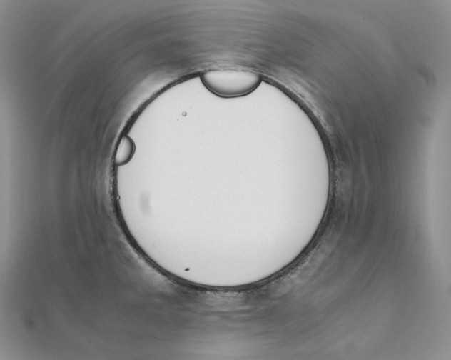 X0000111151285200907281125