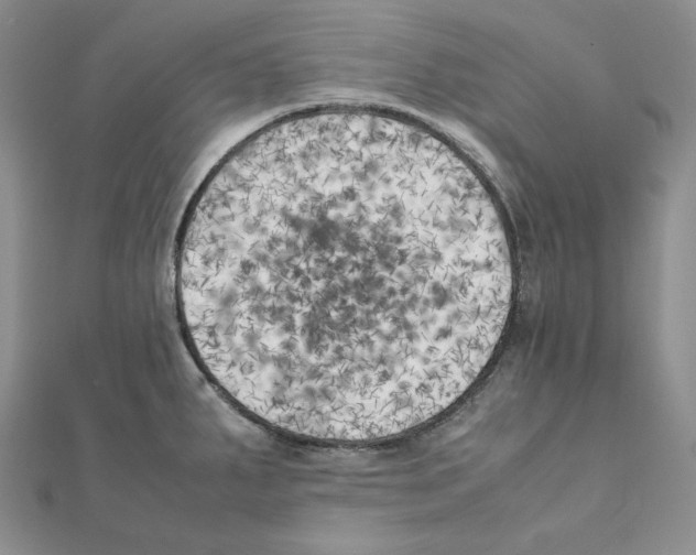 X0000111151287200907281125