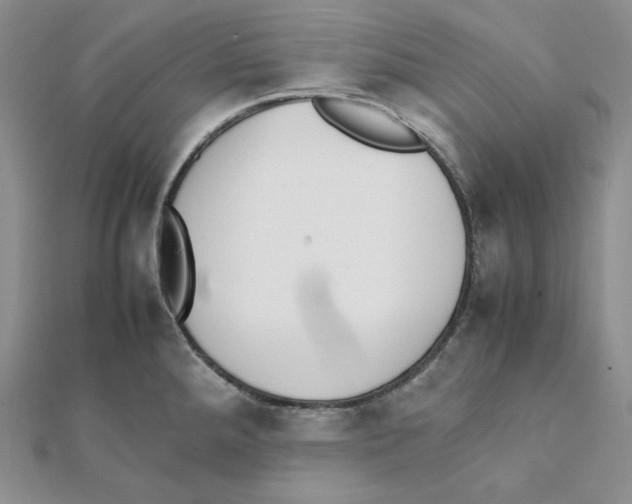 X0000111151288200907281125