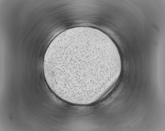 X0000111151289200907281125