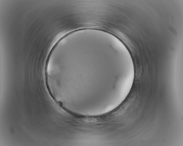 X0000111151291200907281125