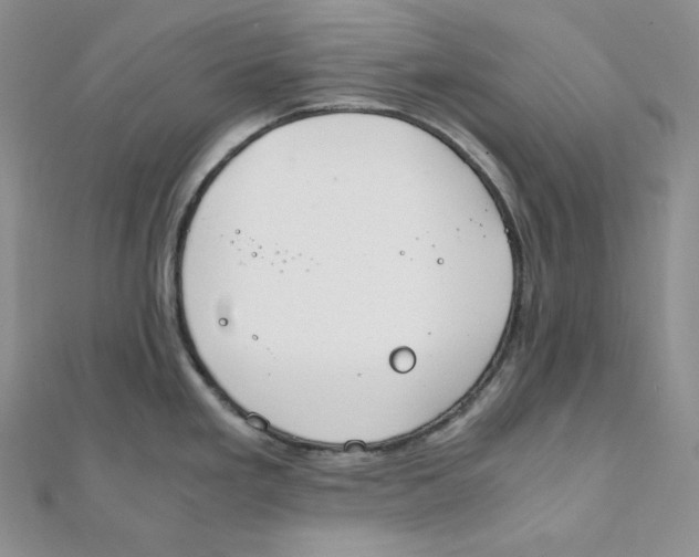 X0000111151293200907281125