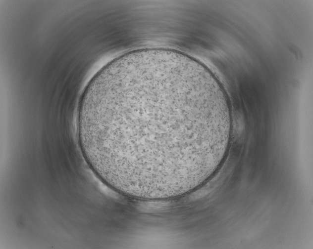 X0000111151294200907281125