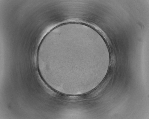 X0000111151295200907281124