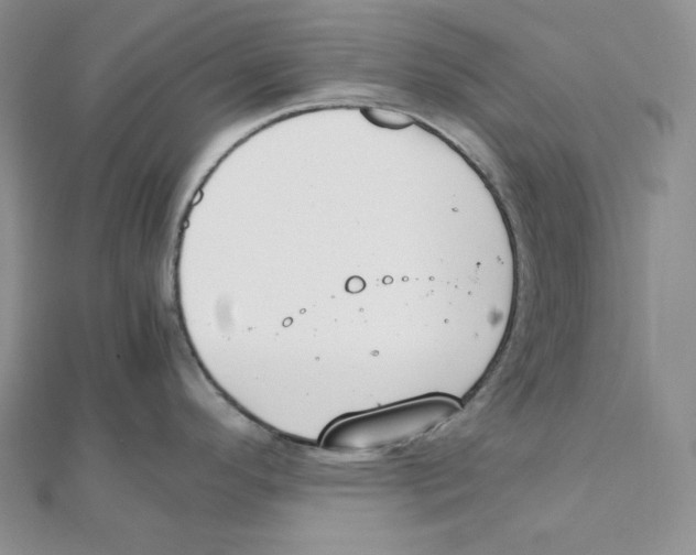 X0000111151296200907281124