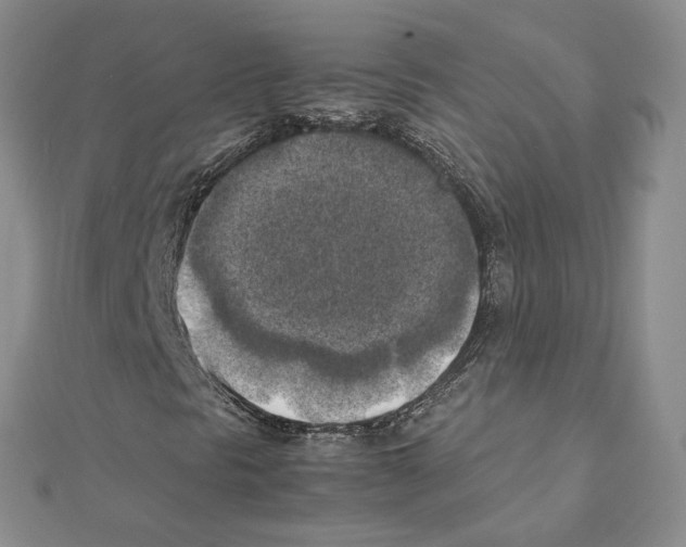 X0000111151297200907281124