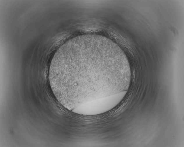 X0000111151300200907281124