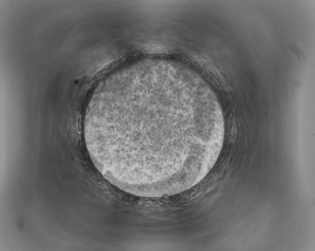 X0000111151301200907281124