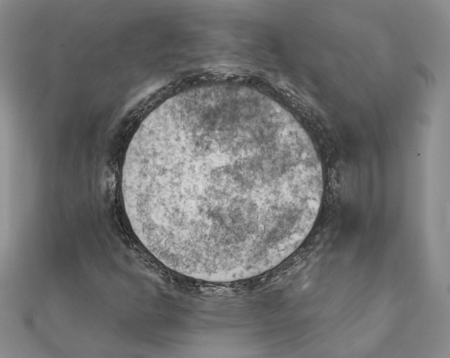 X0000111151302200907281124