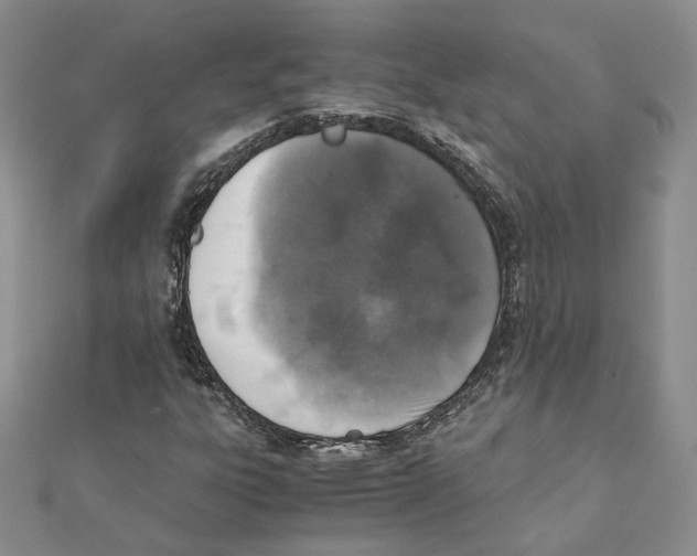 X0000111151303200907281124