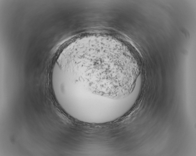 X0000111151304200907281124