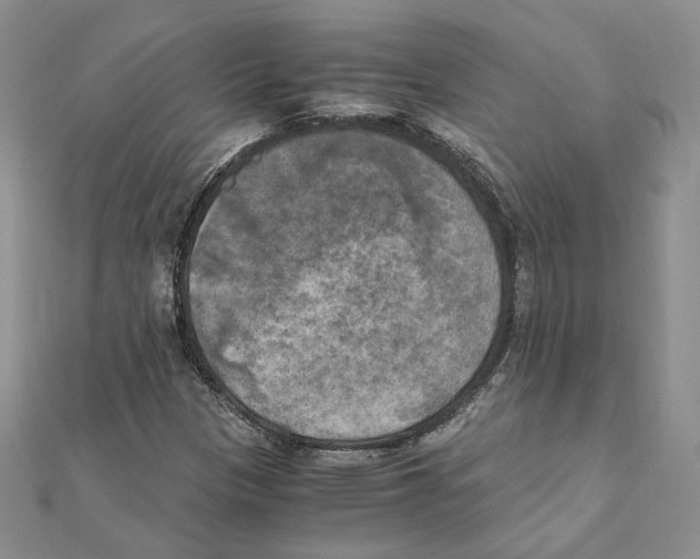 X0000111151305200907281124