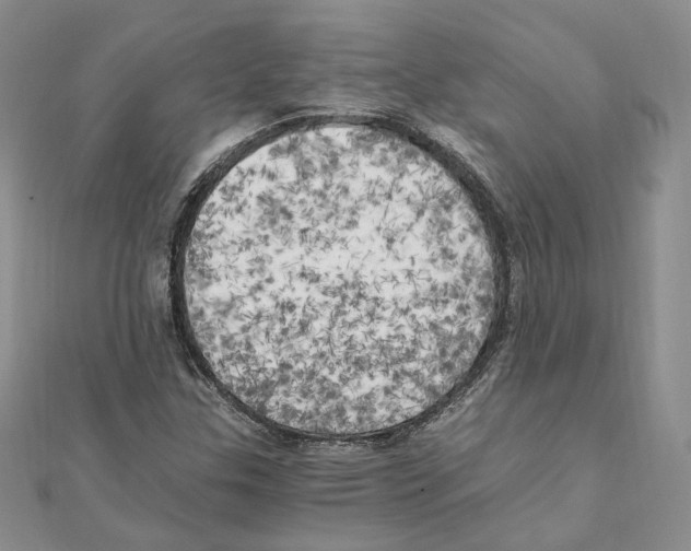 X0000111151307200907281124