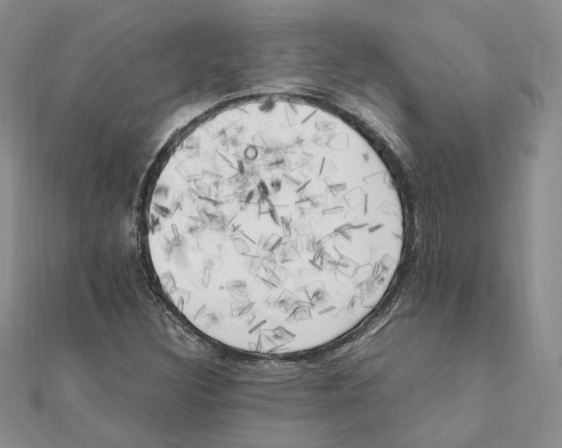 X0000111151308200907281124