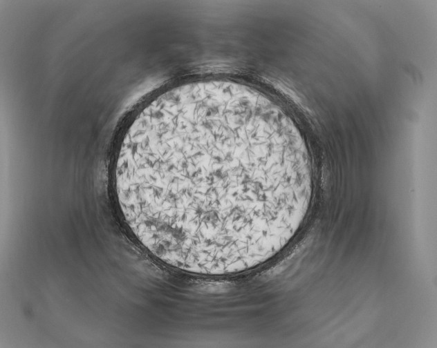 X0000111151309200907281124