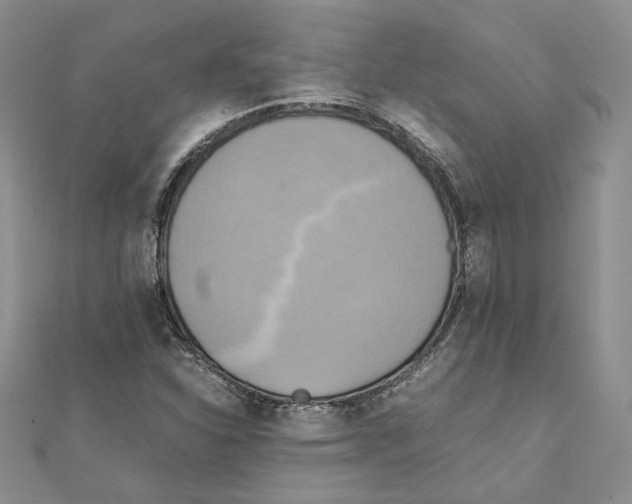 X0000111151310200907281124