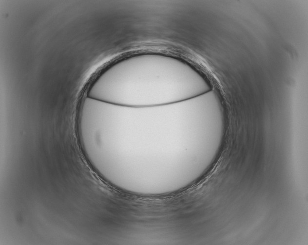 X0000111151312200907281124